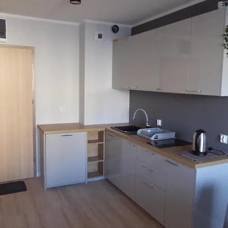 Sloneczne Tarasy Gray Apartment *