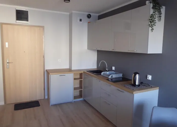 Sloneczne Tarasy Gray 公寓 *